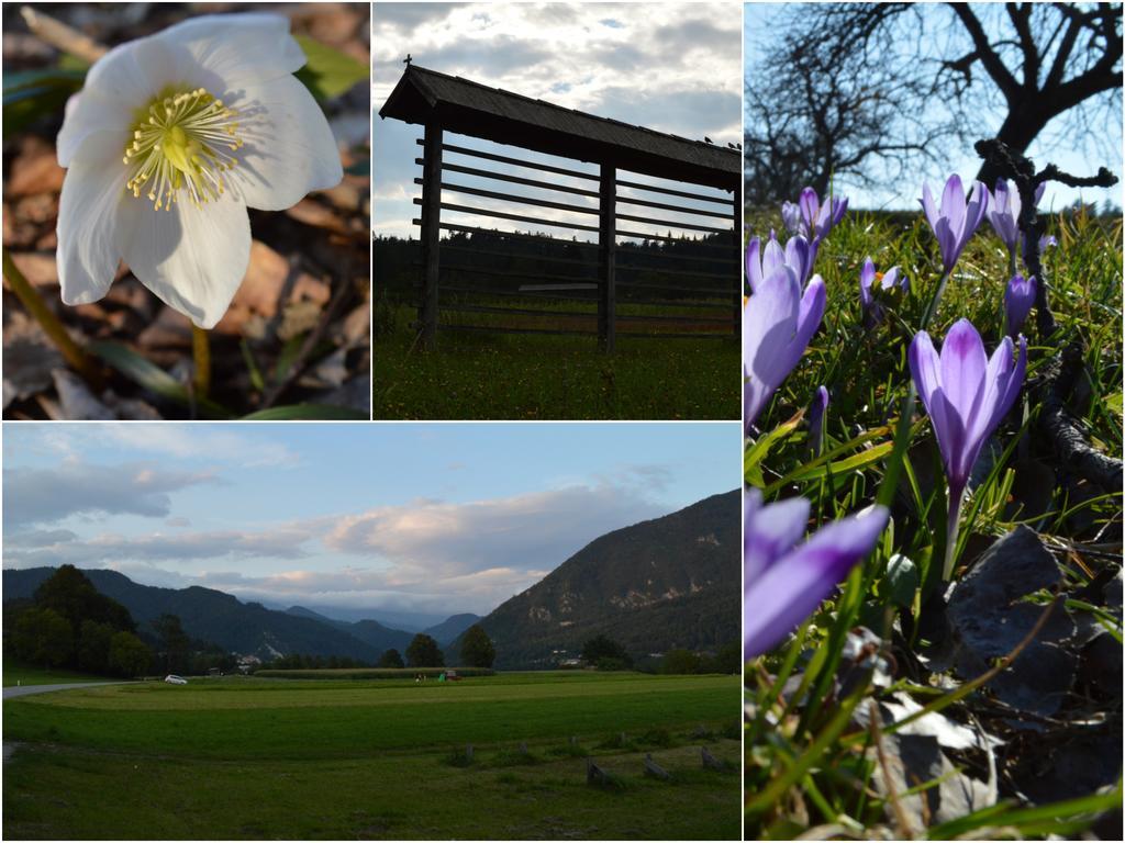 Farm stay Glamping Organic Farm Slibar *