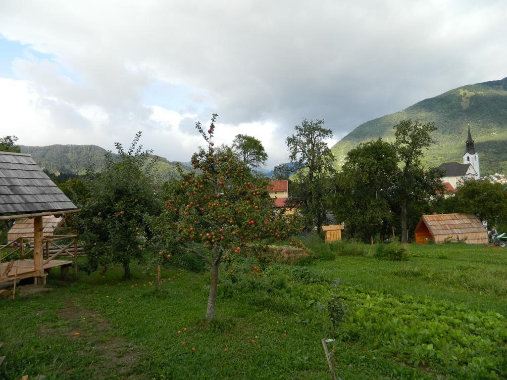 Glamping Organic Farm Slibar * Trzic