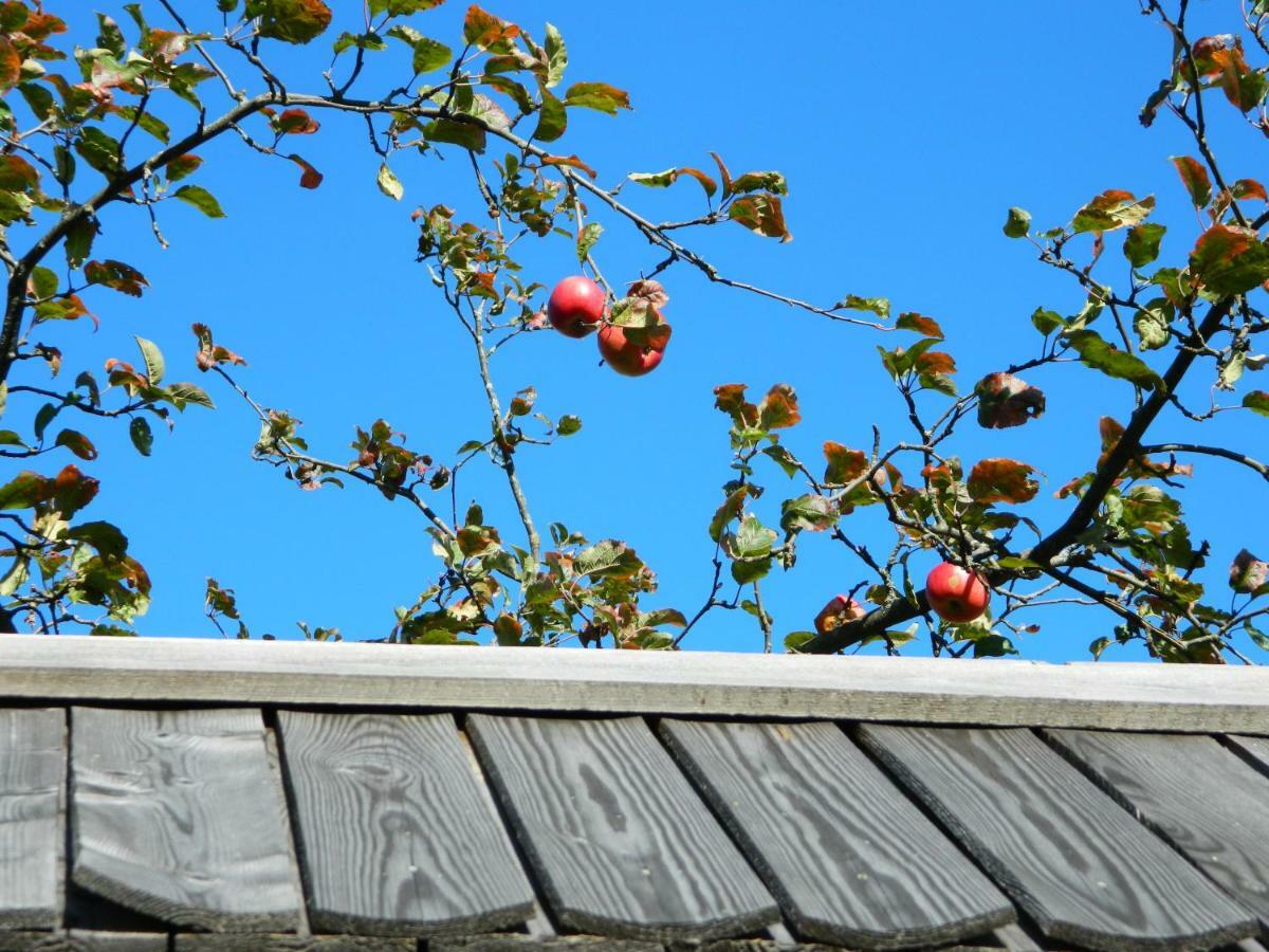 Farm stay Glamping Organic Farm Slibar Trzic