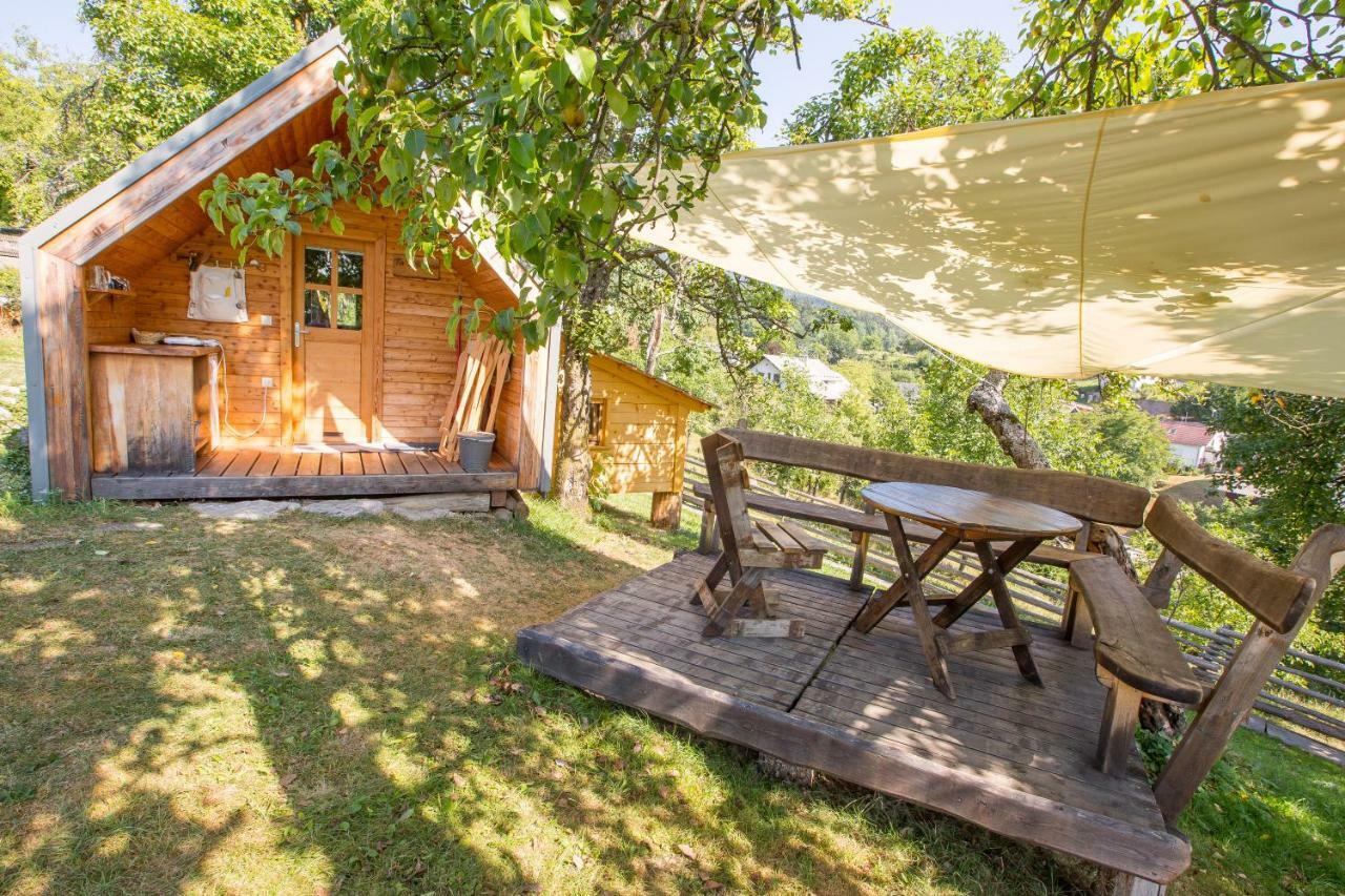 Glamping Organic Farm Slibar Farm stay