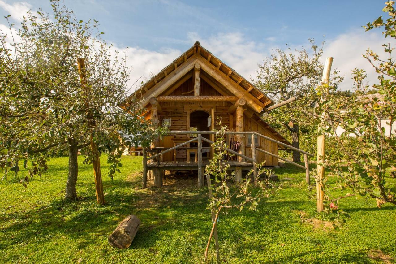 Glamping Organic Farm Slibar Farm stay *