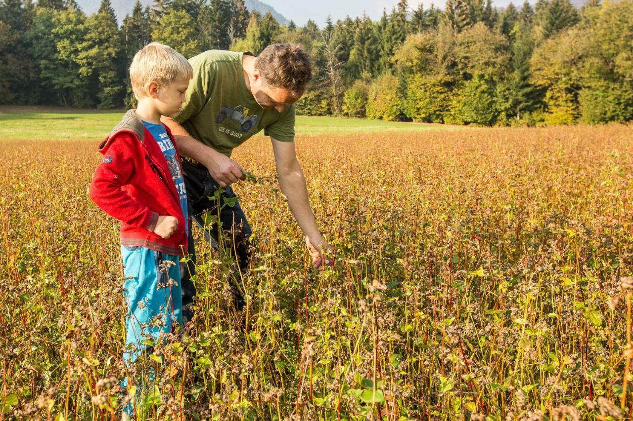Glamping Organic Farm Slibar * Trzic